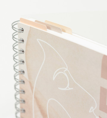 Snap-In Dividers Dusty Blush 3 Pack - Pink/Beige