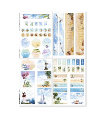 All Year Round 8-pack