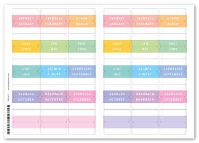 Monthly Tabs Self-adhesive - Fab Tabs - Multicolor