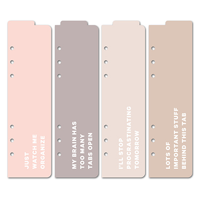 Dividers Dusty Blush 4 Pack (Organizer)